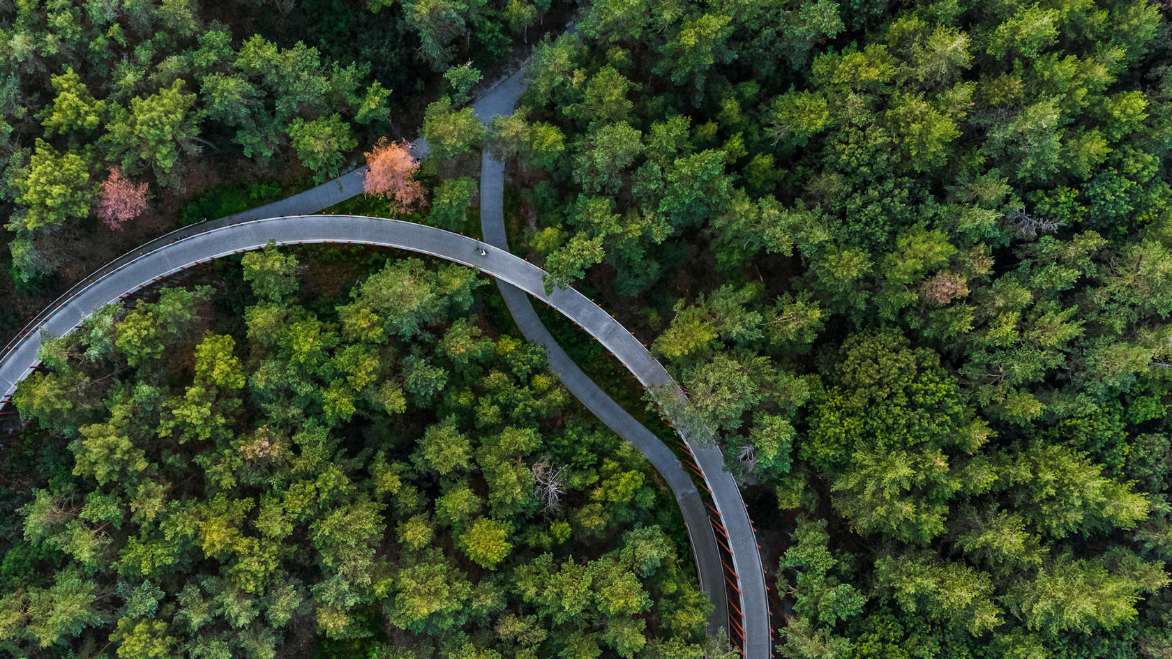 Cycling Through the Lake District on the Crossway 450 Lady